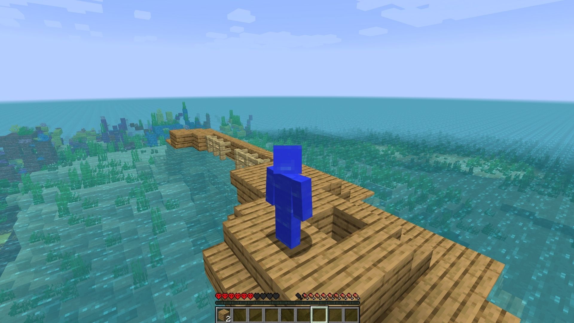 Minecraft Water World Samen
