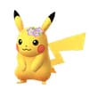 Blumenkrone Pikachu Pokemon Go Dex