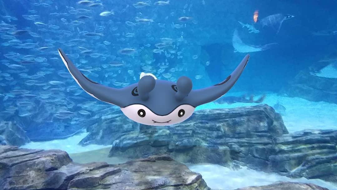 Mantine Pokemon gehen