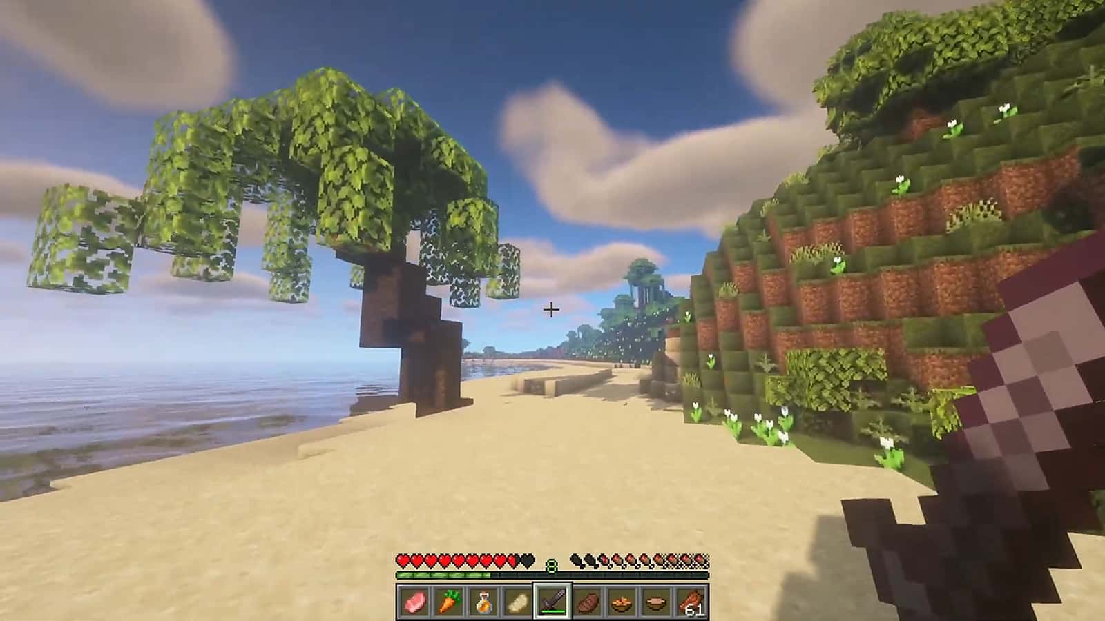 AppleSkin Mod in Minecraft vorgestellt