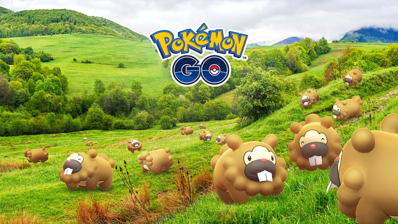 Pokemon Go Gruppe von Bidoof