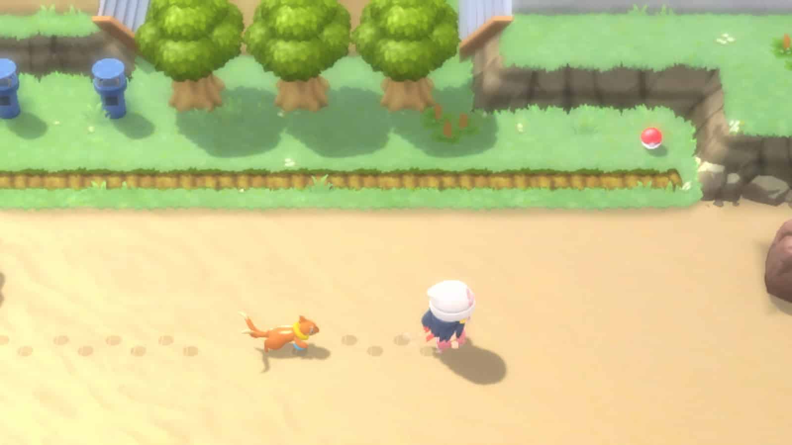 Pokemon geht mit Spieler in Pokemon Brilliant Diamond & Shining Pearl Bild