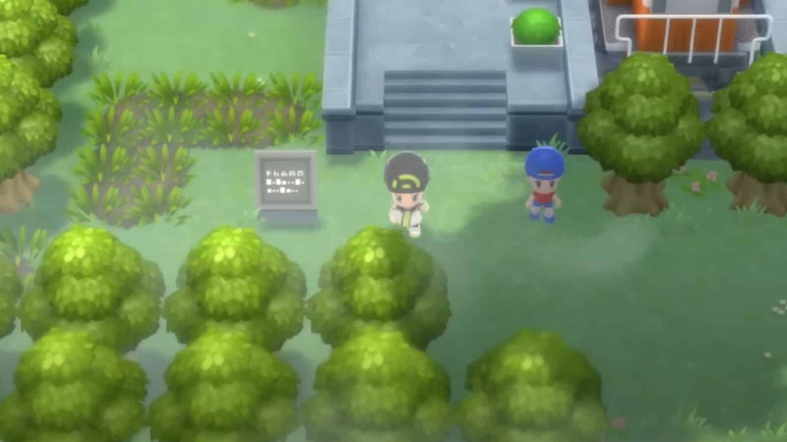 Screenshot von Pokemon Brilliant Diamond & Shining Pearl Great Marsh