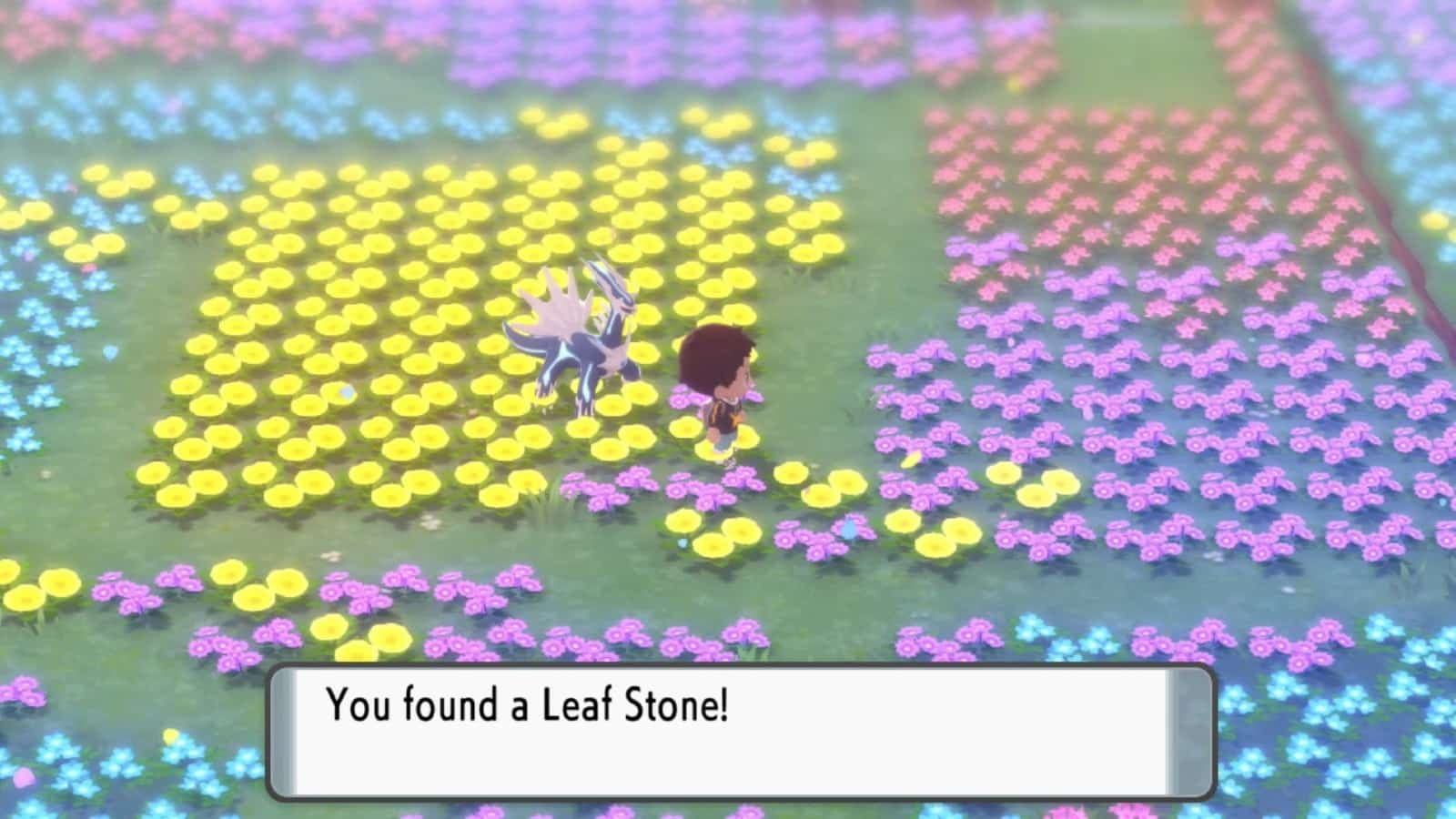 Trainer sammelt einen Blattstein in Floaroma Meadow in Pokémon Strahlender Diamant und Leuchtende Perle