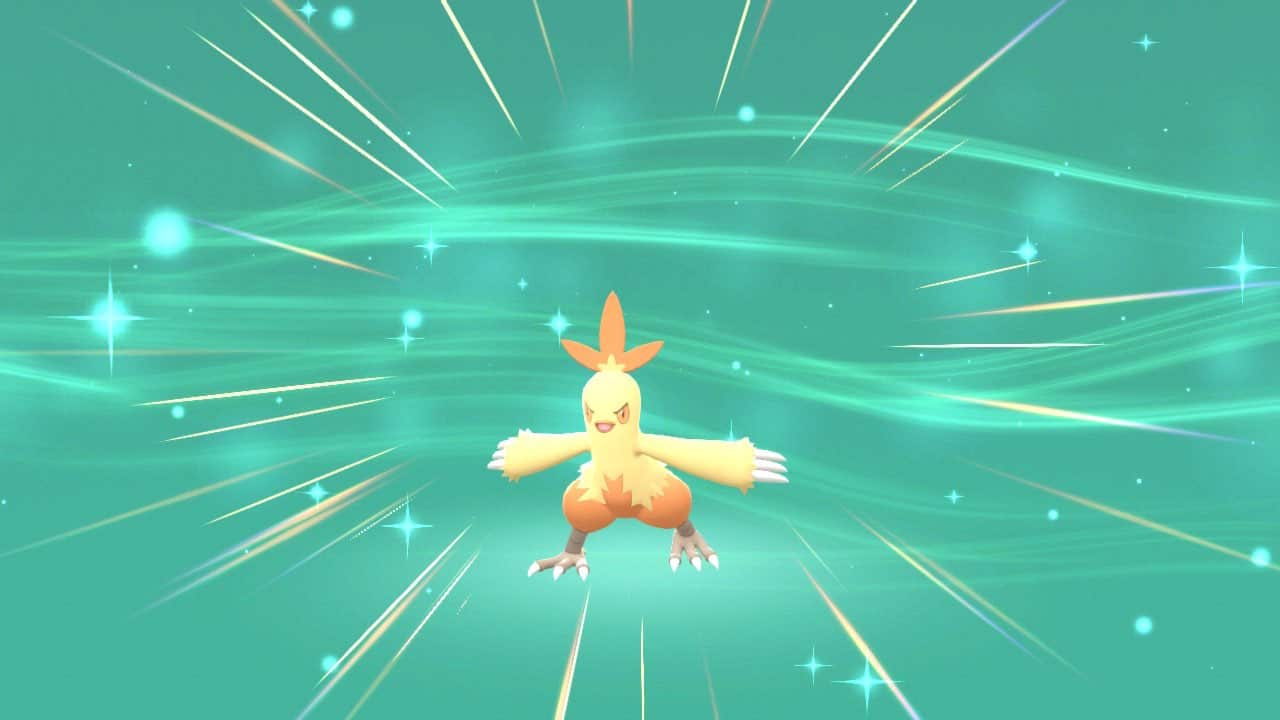 Pokémon Brillanter Diamant & Glänzende Perle Combusken-Entwicklung