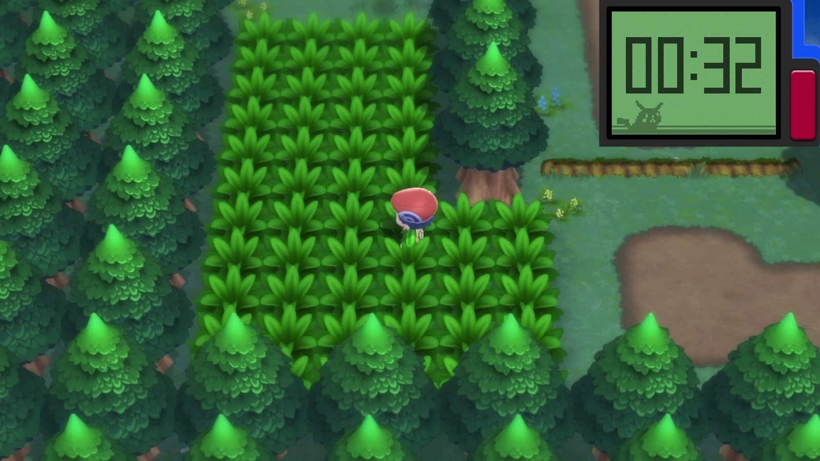 Ewiger Wald in Pokemon Diamant