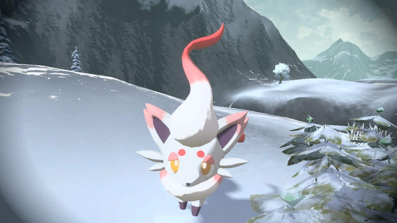 Hisuian Zorua in Pokémon-Legenden Arceus