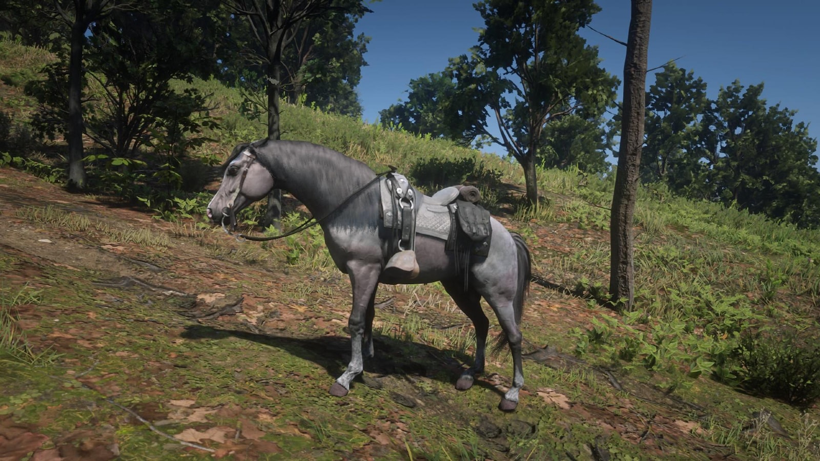 der Rose Bay Grey Arabian, das beste Pferd in Red Dead Redemption 2