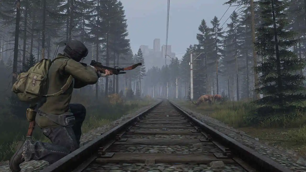 DayZ